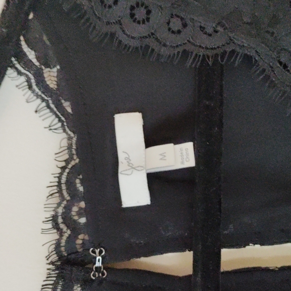 Joie Lace Dress - Picture 5 of 11